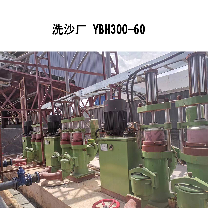 洗沙場使用咸陽柱塞泵案例